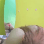 langkah istri ngentot pria lain dengan penuh nafsu